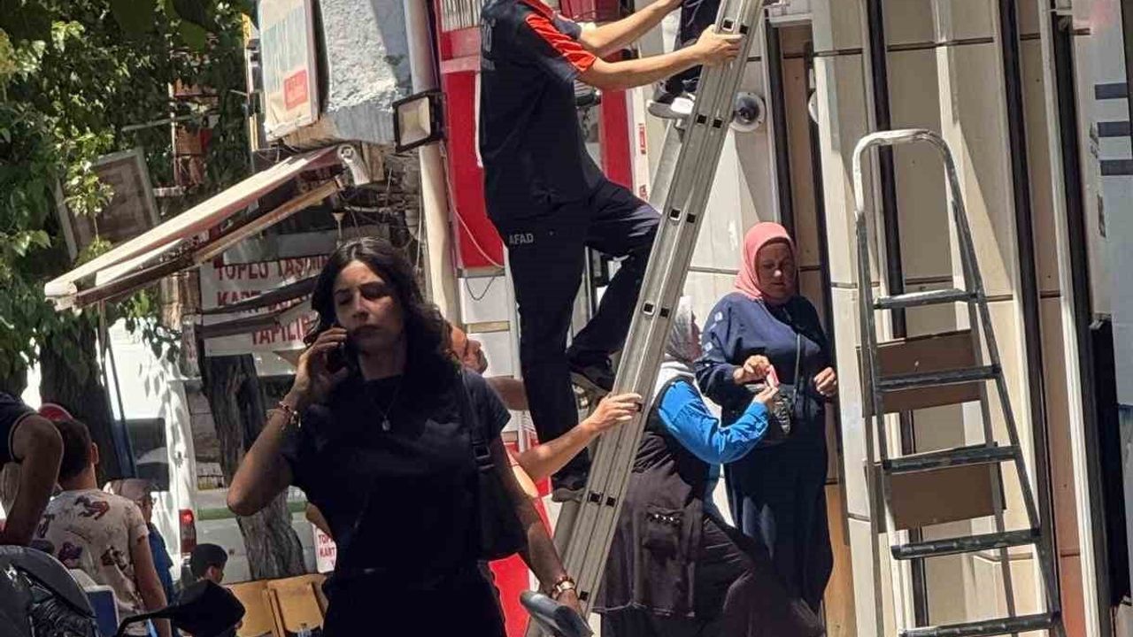 Siirt'te reklam panosuna sıkışan yavru kedi AFAD ekiplerince kurtarıldı