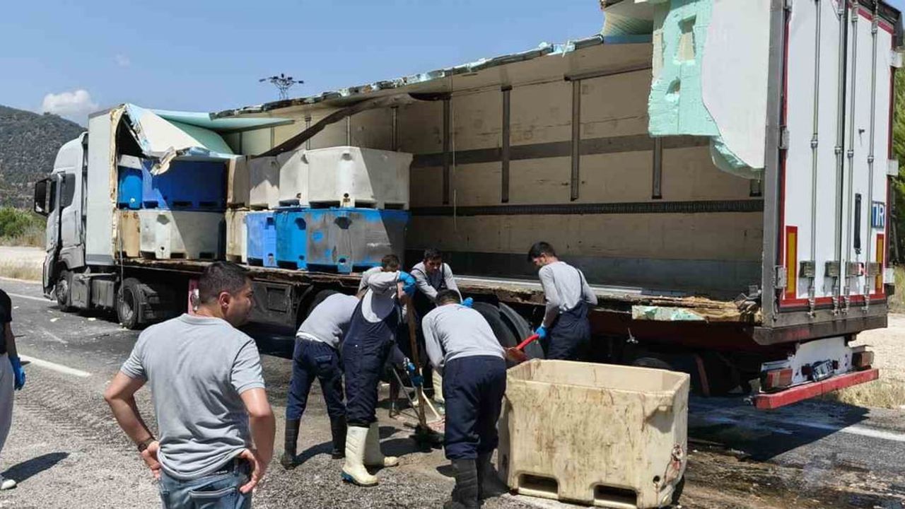 Silifke'de tır dorsesinin patlaması sonucu 15 ton balık atığı yola saçıldı