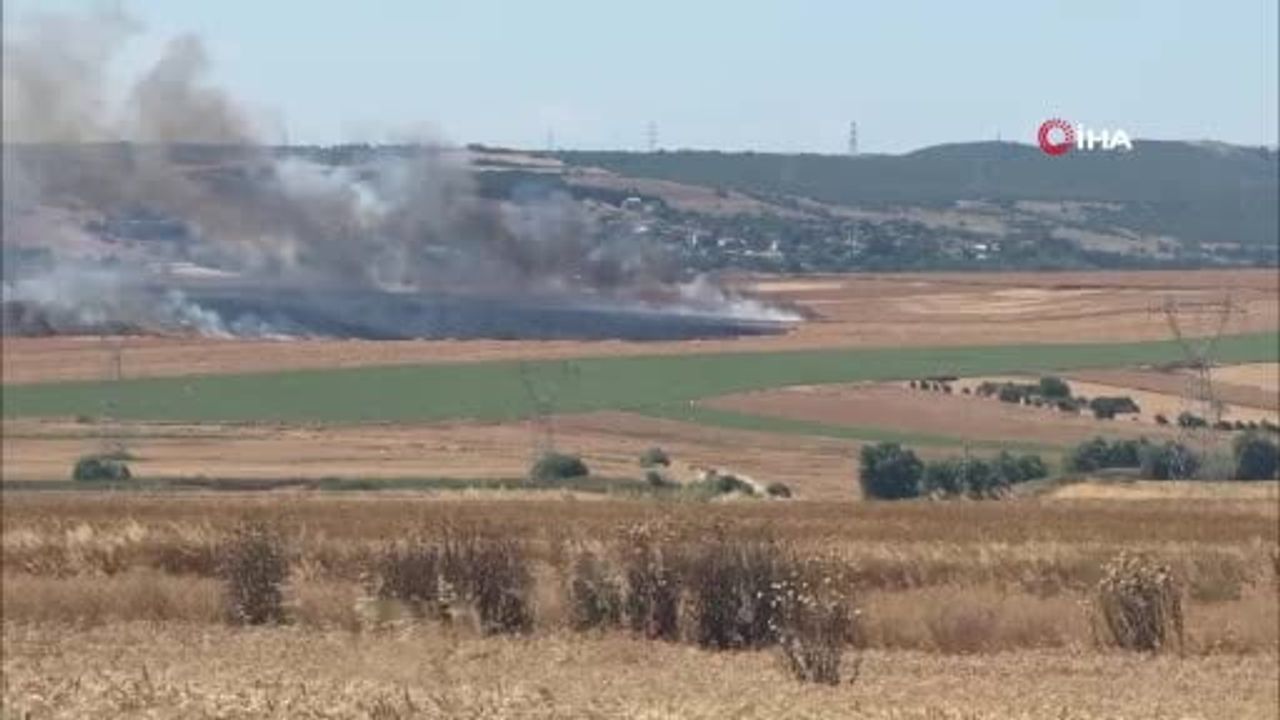 Silivri'de arpa tarlasında yangın