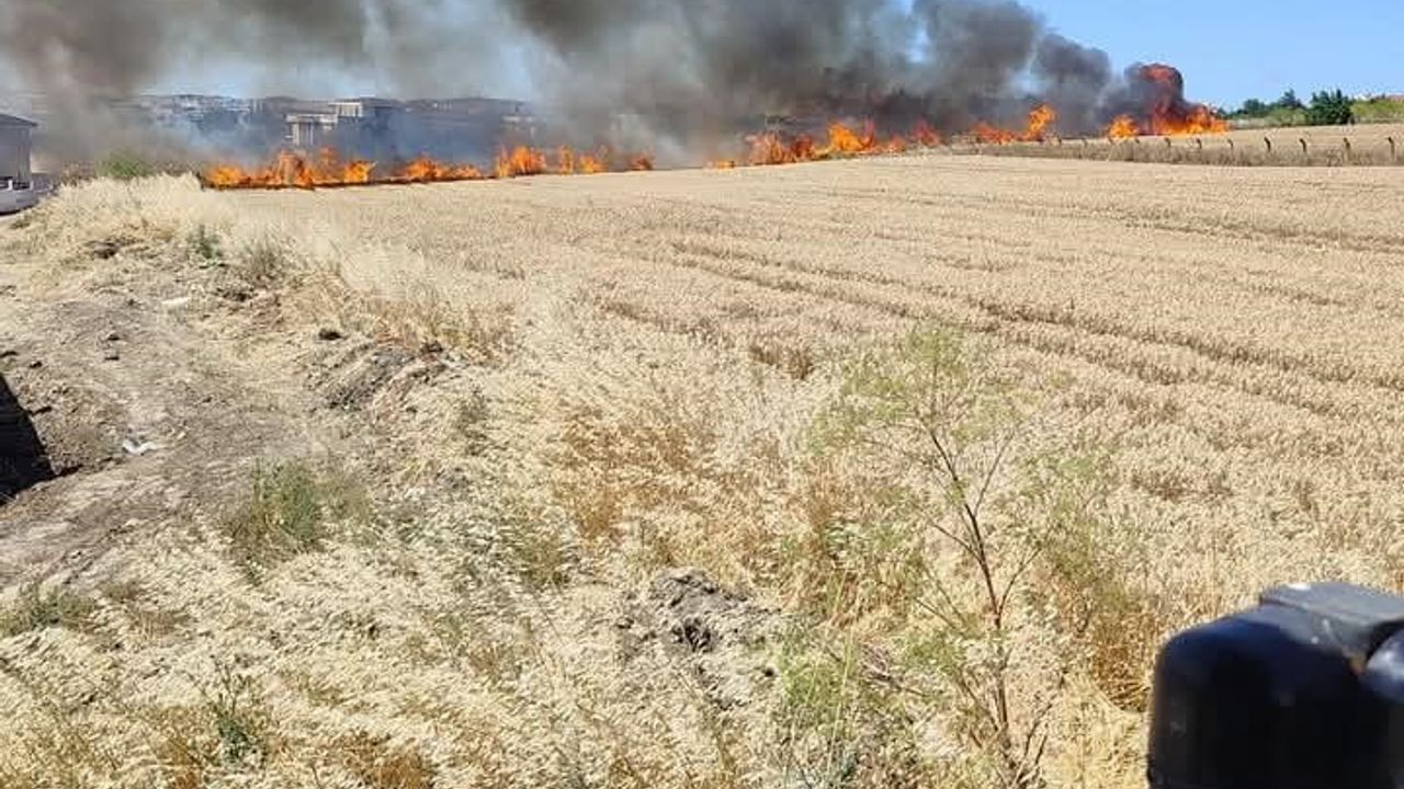 Silivri'de iki tarla yangını söndürüldü