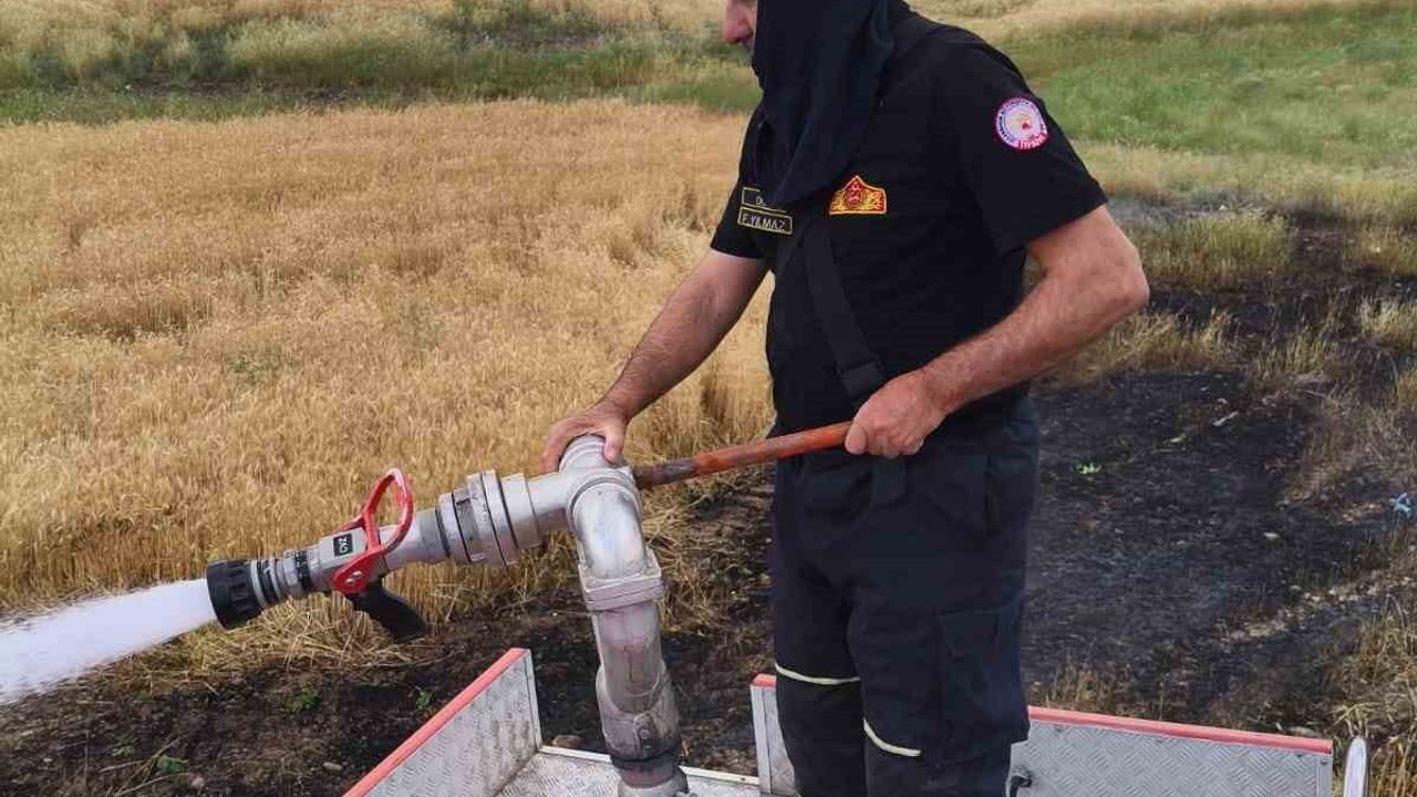 Silvan’da 2 dönümlük ekili alan kül oldu