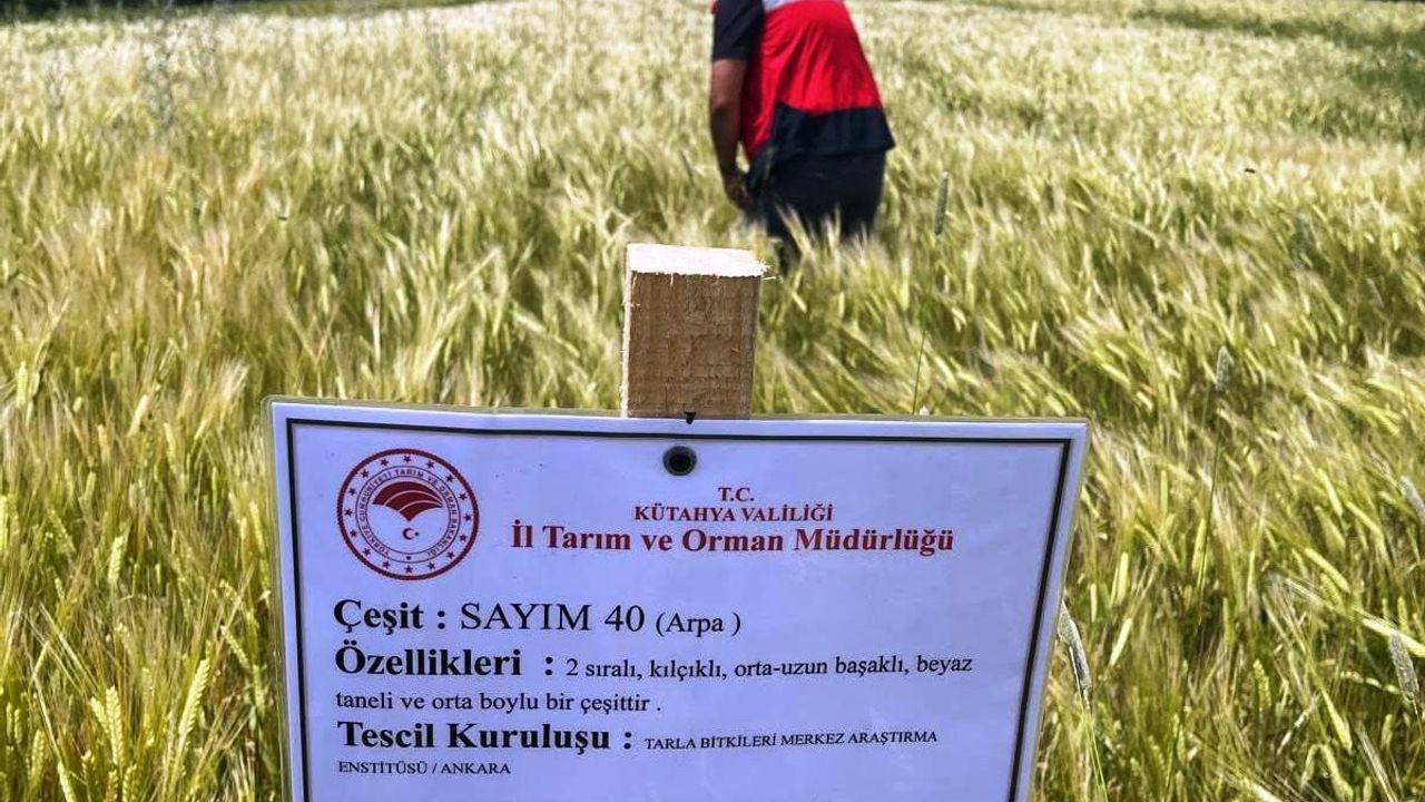 Simav'da arpa demonstrasyonlarında kontroller sürüyor