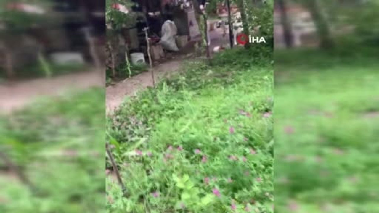 Sincap boş kabı protesto etti, görüntüler sosyal medyayı güldürdü