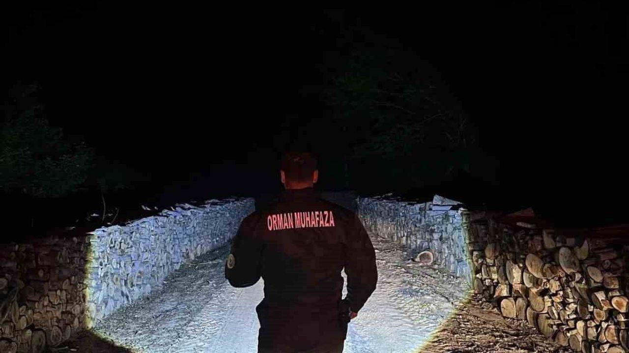 Sinop ormanları gece-gündüz korunuyor: İnceburun'da 24 saat devriye ve teknolojik takip