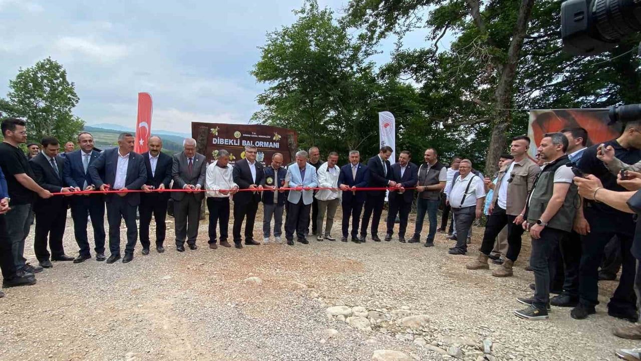 Sinop’ta 45 hektarda Türkiye’nin 913’üncü bal ormanı açıldı