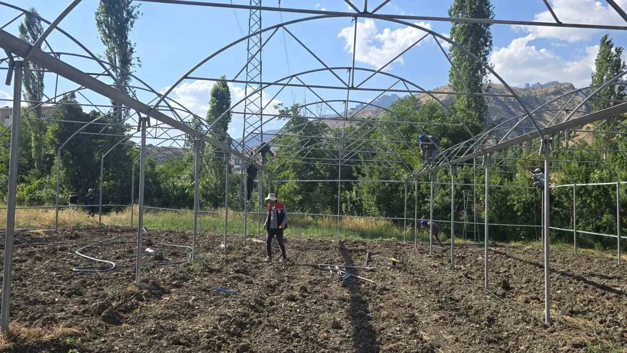 Şırnak'ta sera yatırımları yerinde incelendi