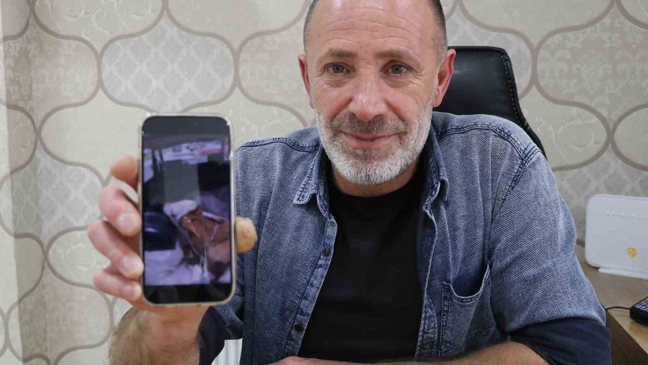 Sivas'ta bagajda serum takılı buzağı gören esnaf duygulandı