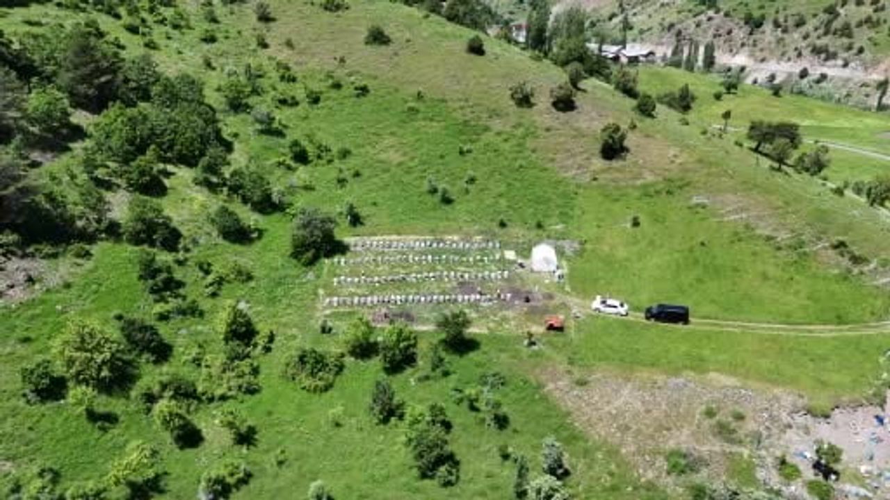 Sivas'ta bal üretiminde rekor bekleniyor