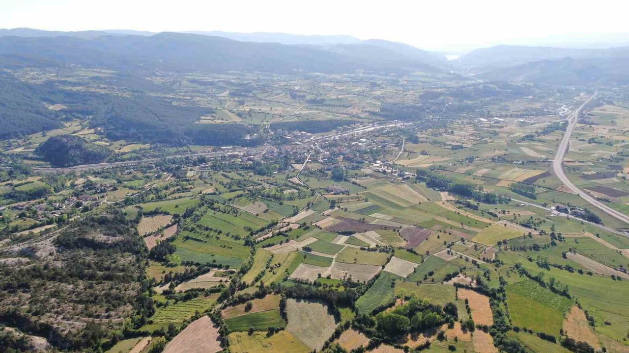 Siyezin anavatanı Kastamonu’da ekim sahası genişliyor