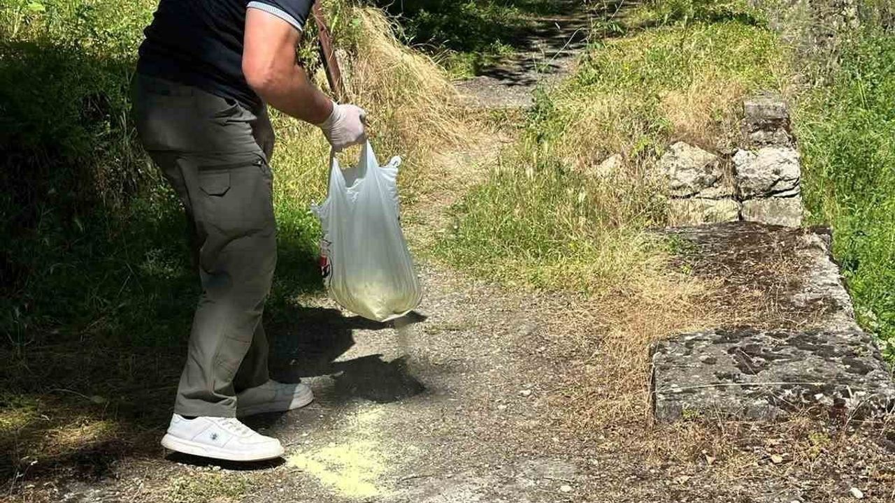 Söğüt'te piknik alanlarında ilaçlama çalışması