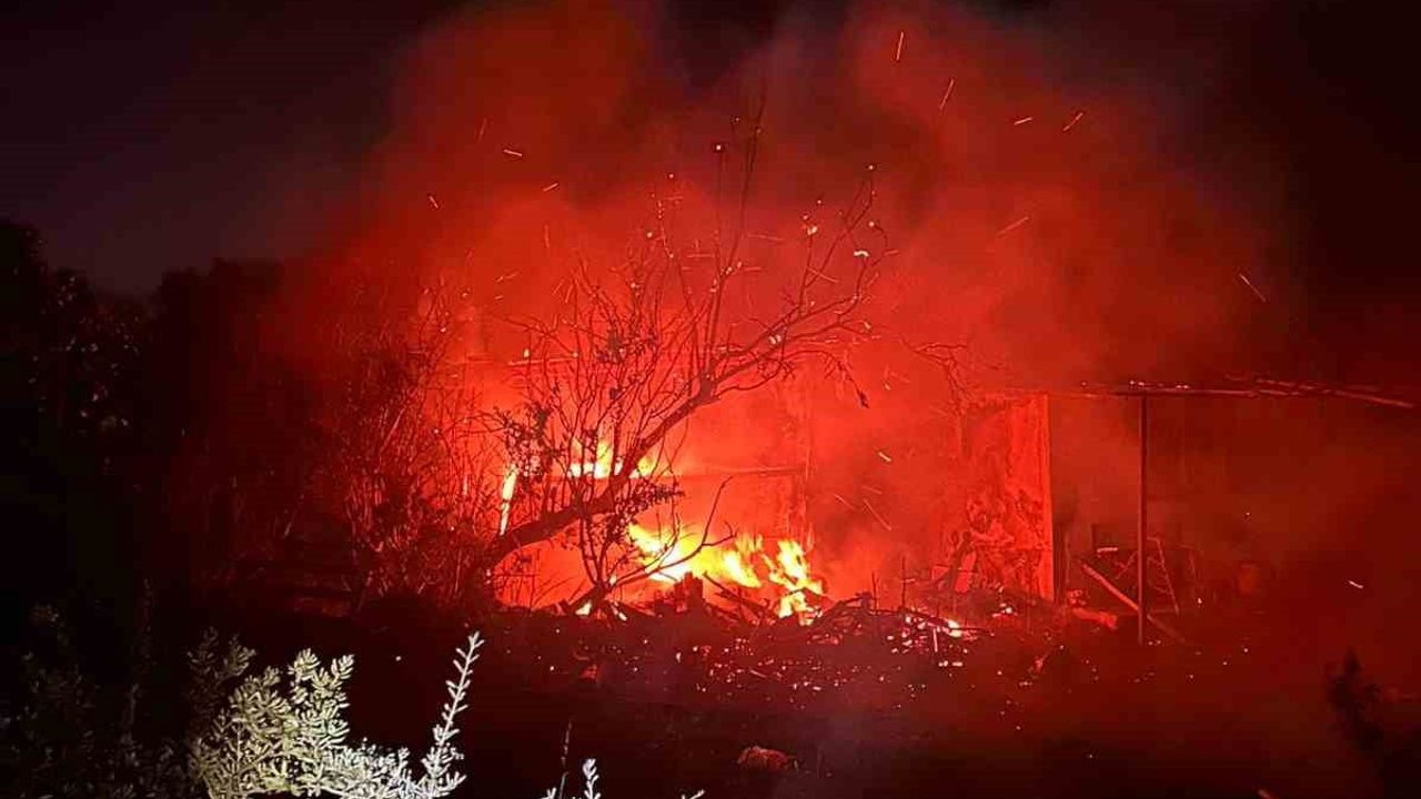 Söke'de depo yangını zeytinlikte maddi hasara yol açtı