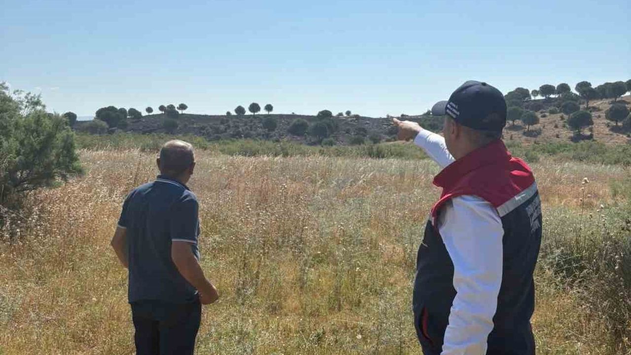 Söke'de tarım arazilerinde yangın sonrası hasar tespiti yerinde incelendi