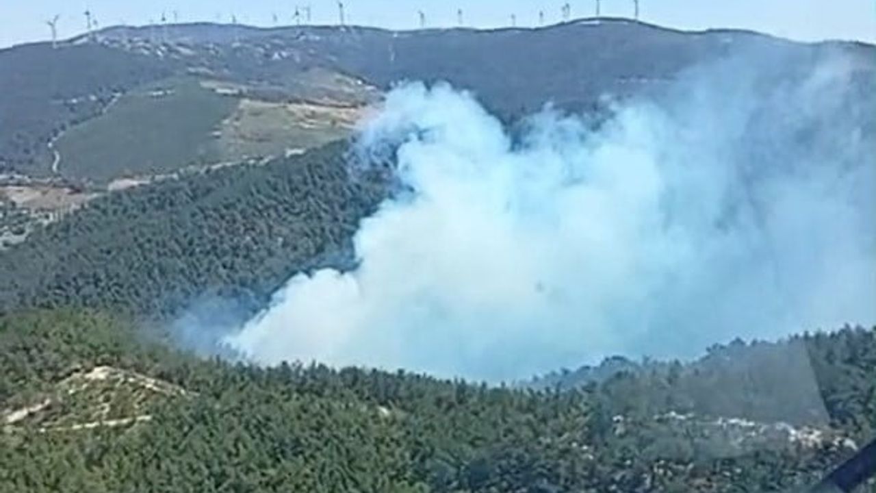 Soma'da Tabanlar mevkiinde orman yangınına havadan ve karadan müdahale