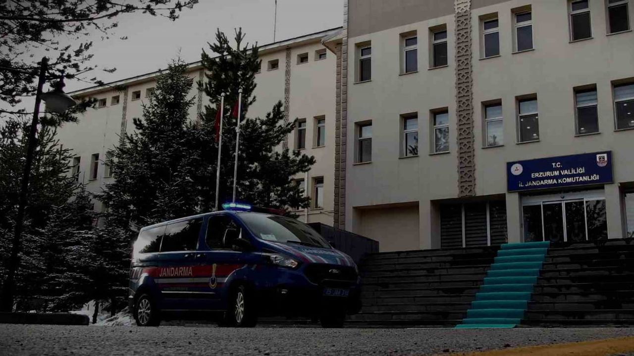Sosyal medyada hayvan satın alma vaadiyle dolandırıcılık: 14 şüpheliye operasyon