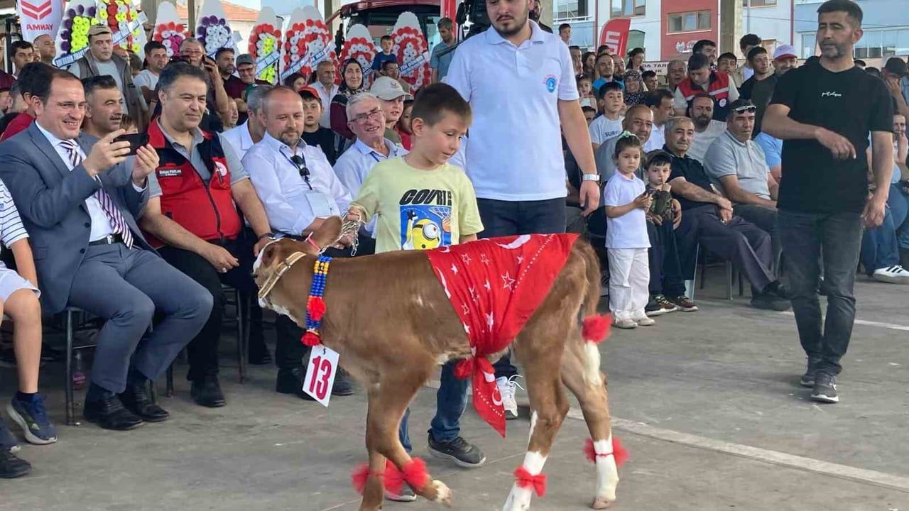 Sultandağı'nda 30 buzağı arasından en güzel buzağı seçildi