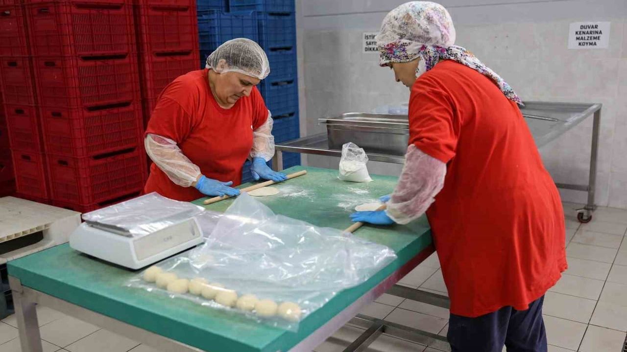 Tarımsal ürün fabrikası ile kadınlar üretiyor, Efeler kazanıyor