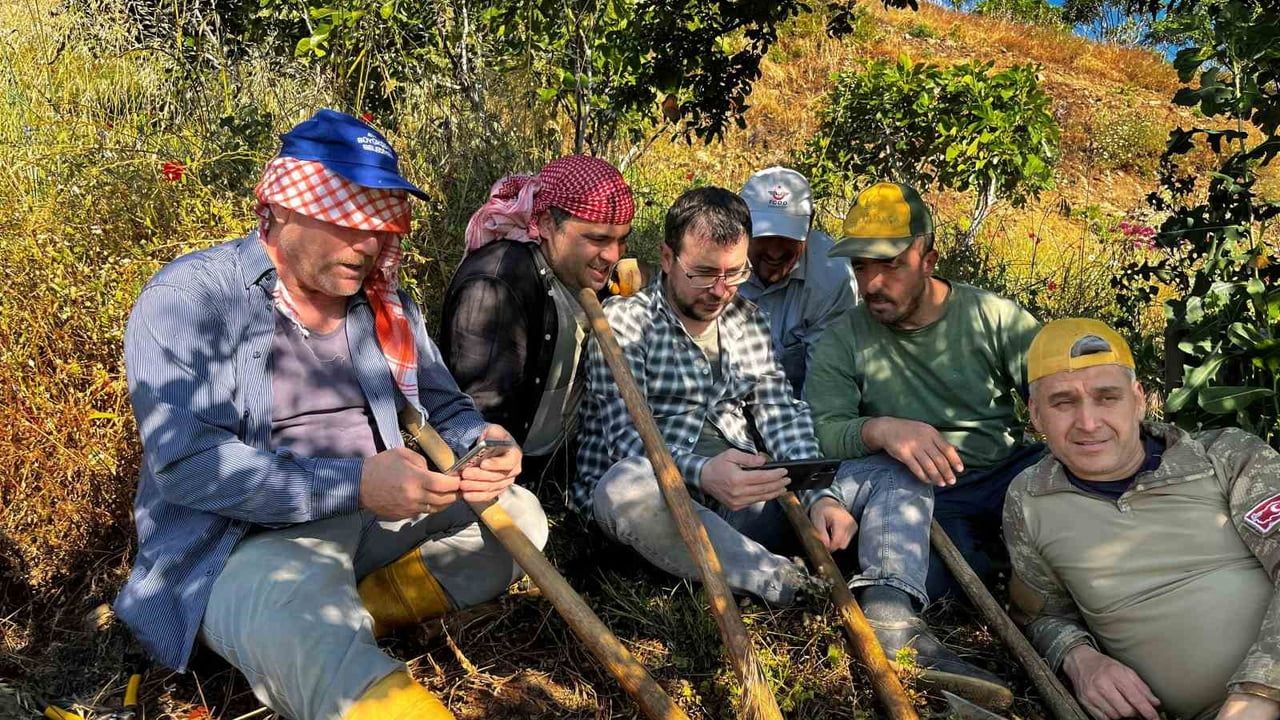 Tarlada mesaiye milli maç molası: Aydın'da üreticiler maçı telefonlarından izledi