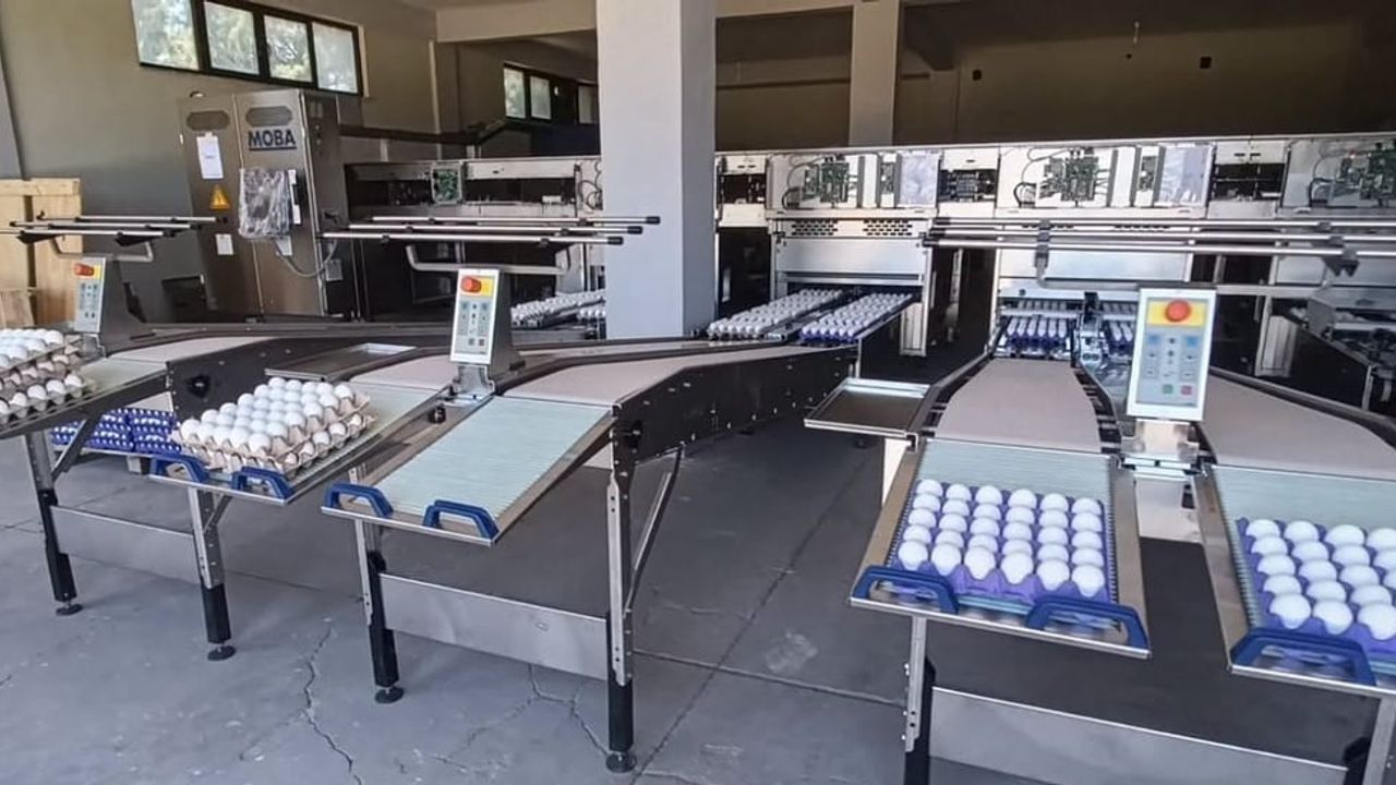 Tavşanlı’da yumurta paketlemede yeni dönem