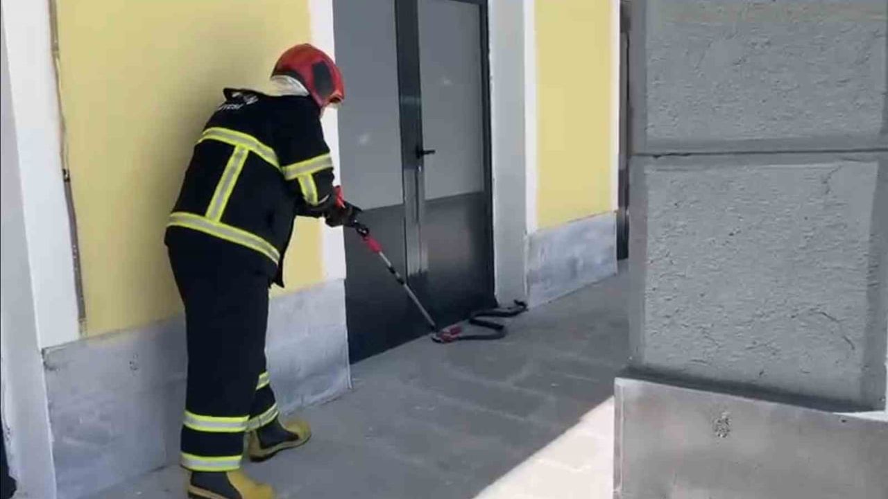 TCDD hizmet binasına giren yılan Tatvan'da paniğe neden oldu