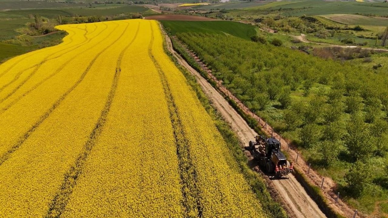 Tekirdağ'da 100 mahallede tarla yolları hasada hazırlandı