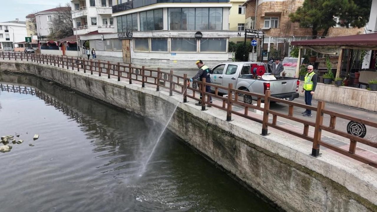 Tekirdağ'da 5 bin 208 üreme noktasına müdahale: vektör mücadelesi sürüyor