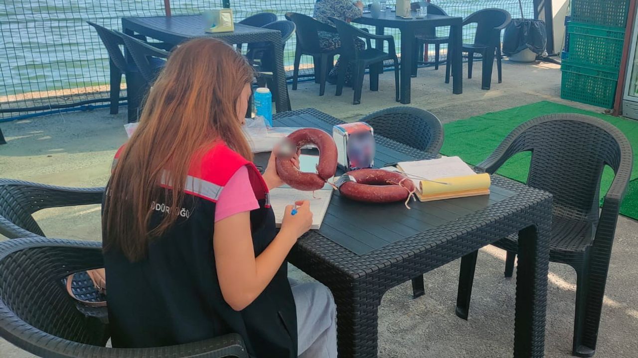 Tekirdağ'da 60'ıncı Uluslararası Kiraz Festivali'nde sıkı gıda denetimleri