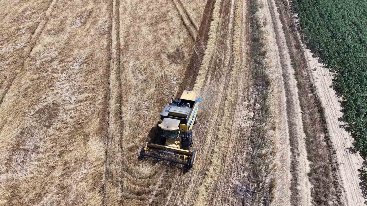 Tekirdağ'da biçerdöverler tarlaya indi, hasat mesaisi başladı