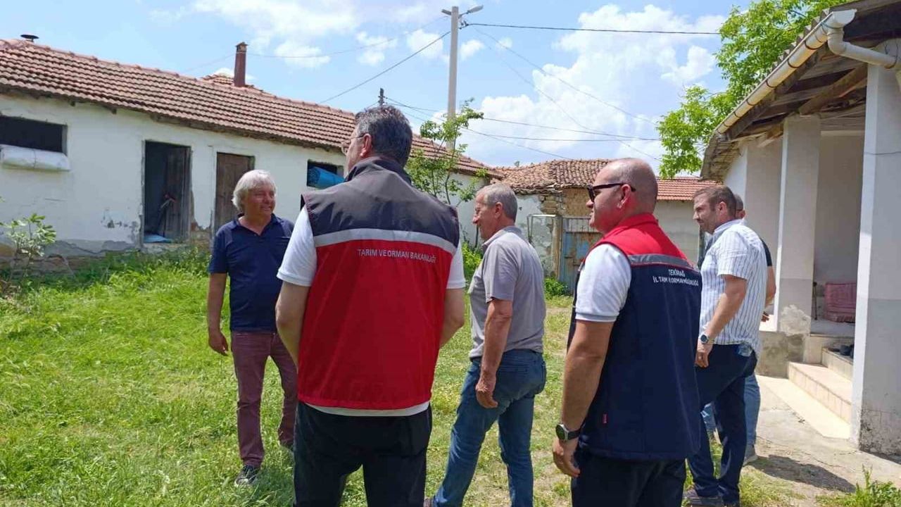 Tekirdağ'da hayvancılık yerinde incelendi: Mehmet Aksoy Malkara Karacahalil'de üreticilerle görüştü