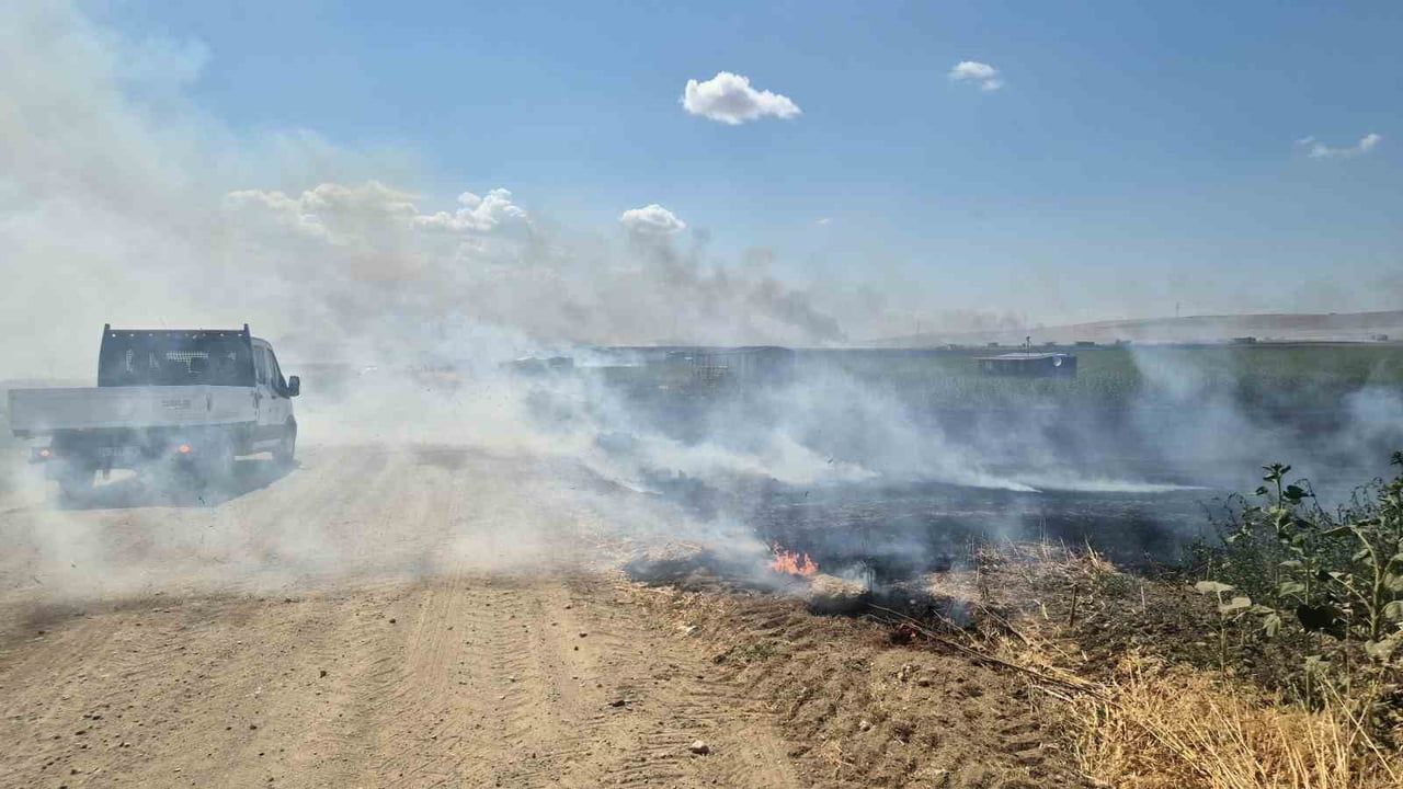 Tekirdağ’da iki noktada çıkan yangın kontrol altına alındı: 700 dönüm ve 20 konteyner zarar gördü