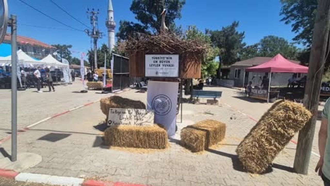 Tekirdağ’da leylek festivali Karakavak’ta başladı