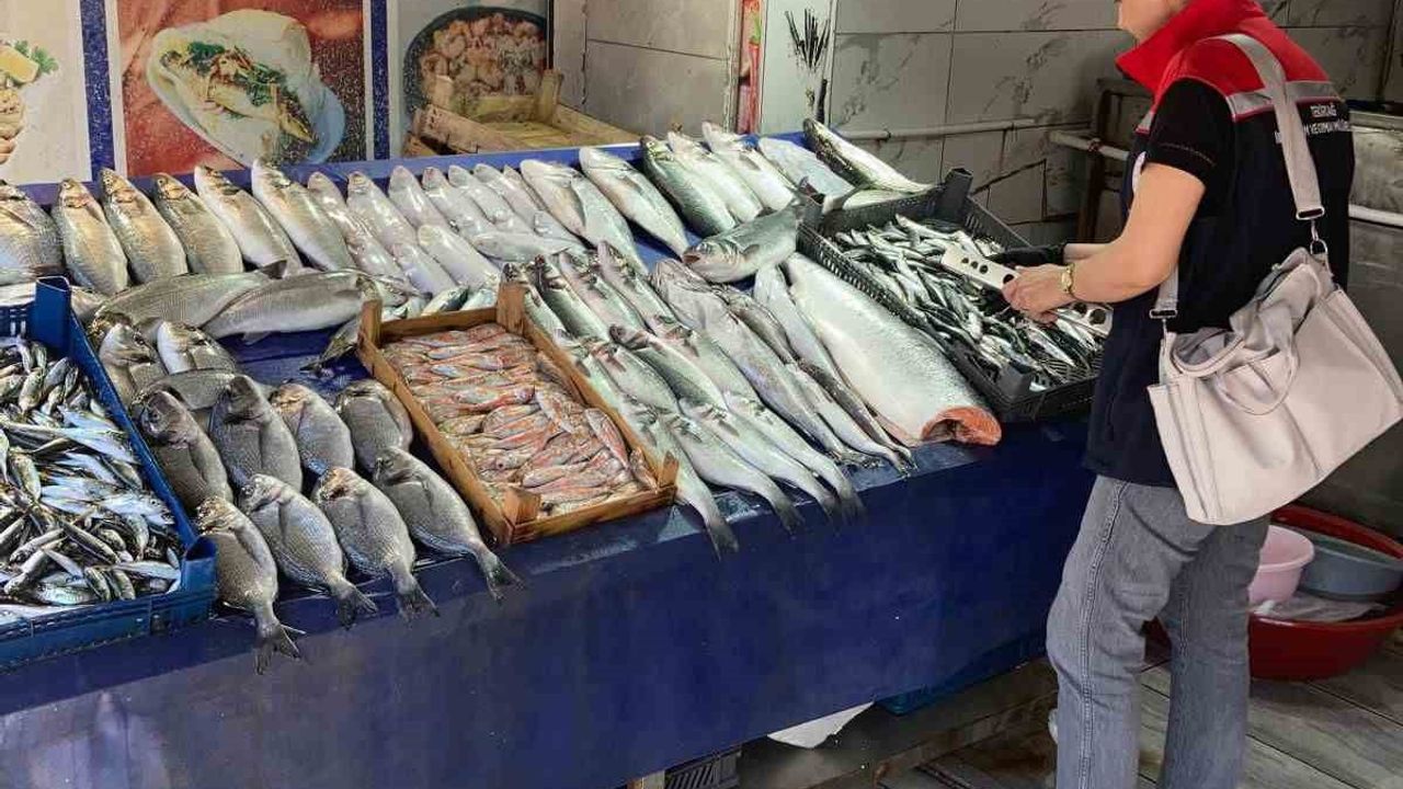 Tekirdağ'da su ürünleri denetimleri: Sürdürülebilir avcılık ve kaçak avcılıkla mücadele