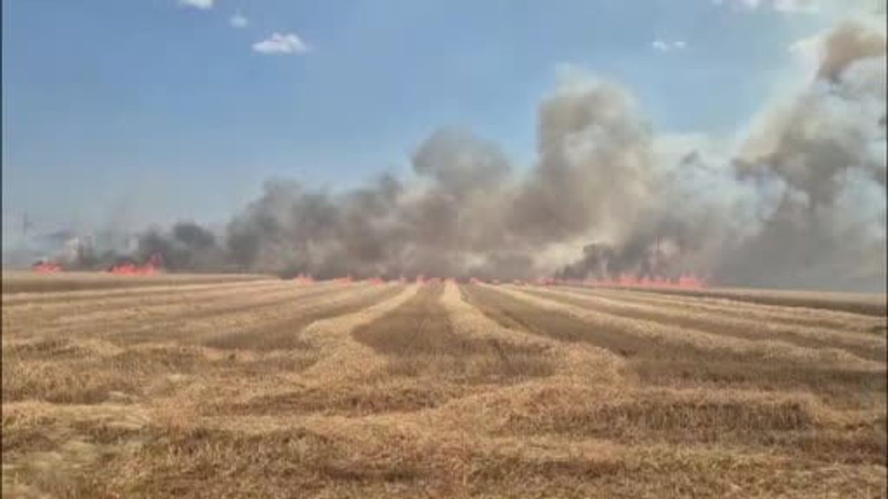 Tekirdağ’da tarım arazilerinde iki noktada yangın