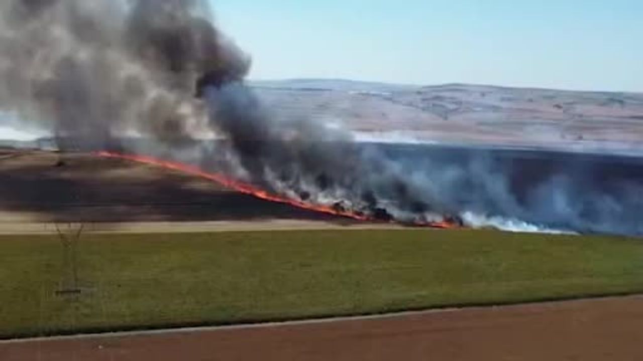 Tekirdağ’da yaklaşık 300 dönüm alan yandı