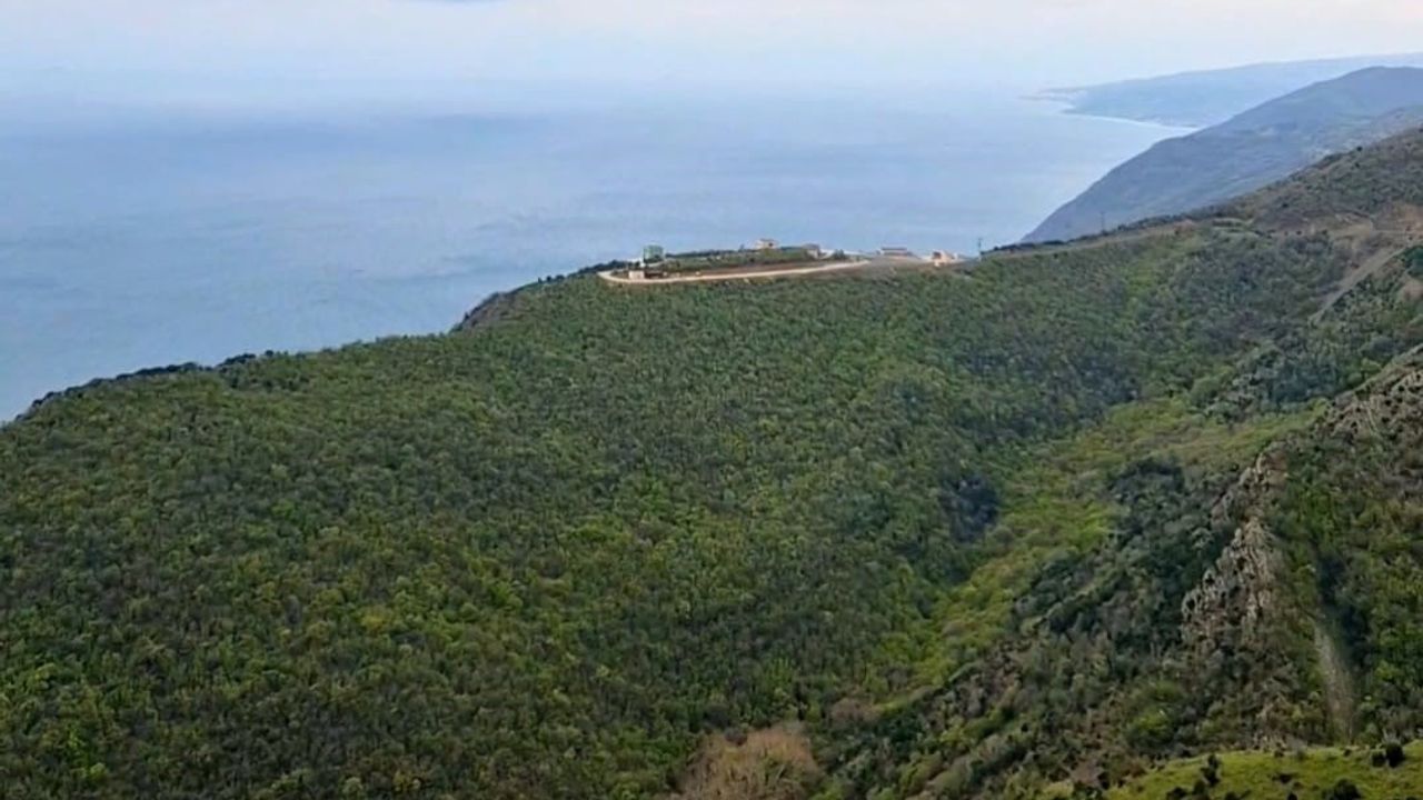 Tekirdağ Valiliği: Ormanlara Giriş 12 Haziran-15 Ekim 2026 Arasında Yasaklandı