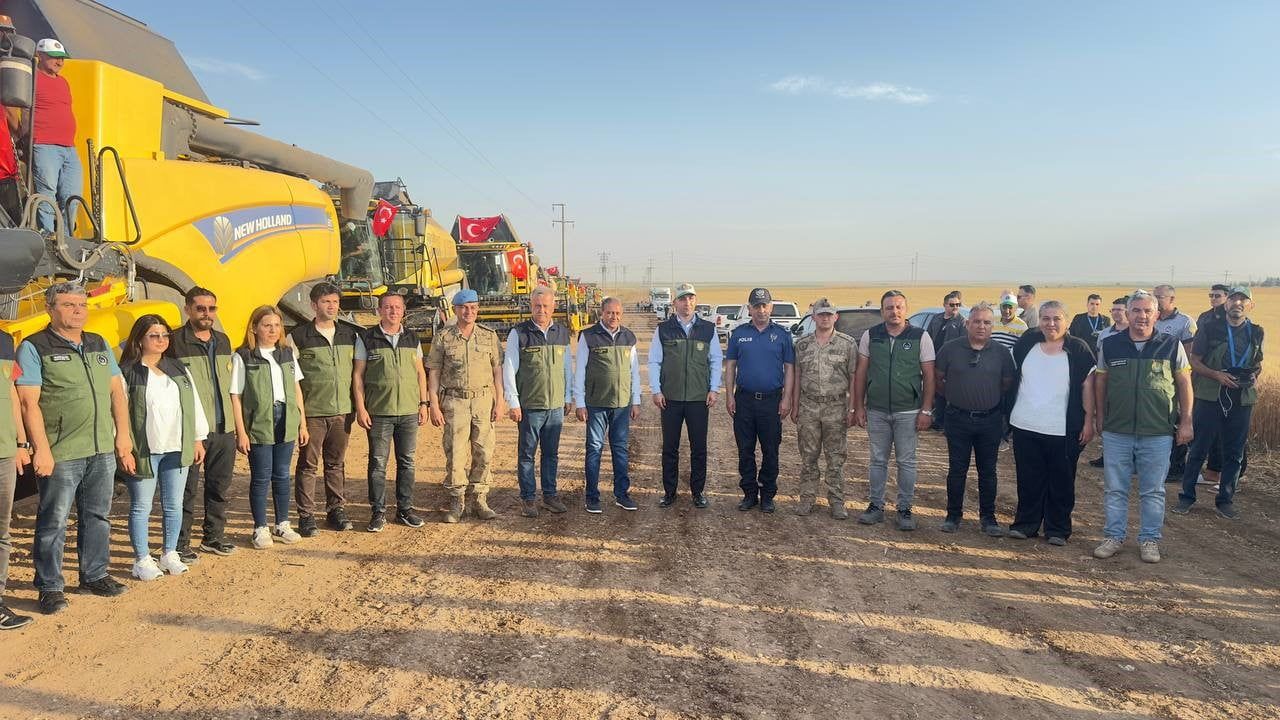 TİGEM Ceylanpınar'da buğday hasadı başladı: 56 bin 400 hektarda rekolte beklentisi