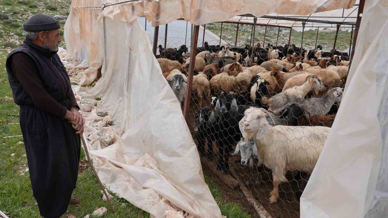 Torosların zirvesinde Yörük ailelere Erdemli Belediyesi'nden güneş paneli desteği