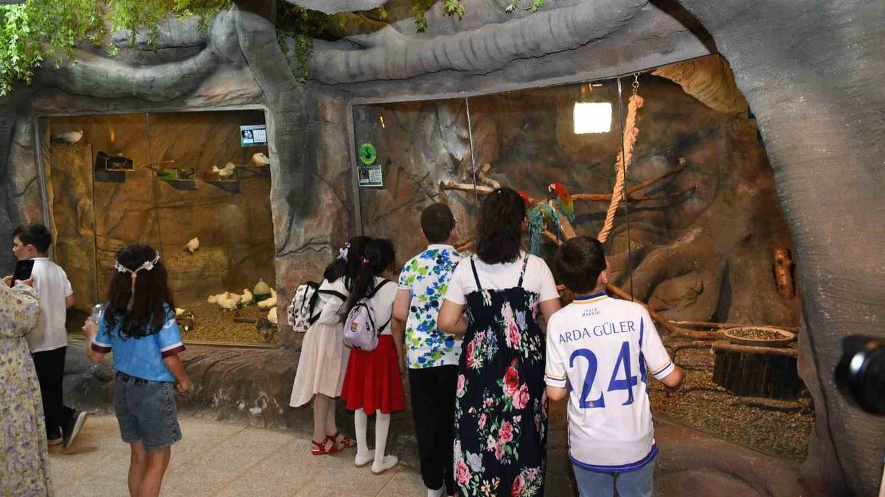 Trabzon Kuş Parkı: Zağnos ve Tabakhane vadileri arasında 27 tür barındırıyor