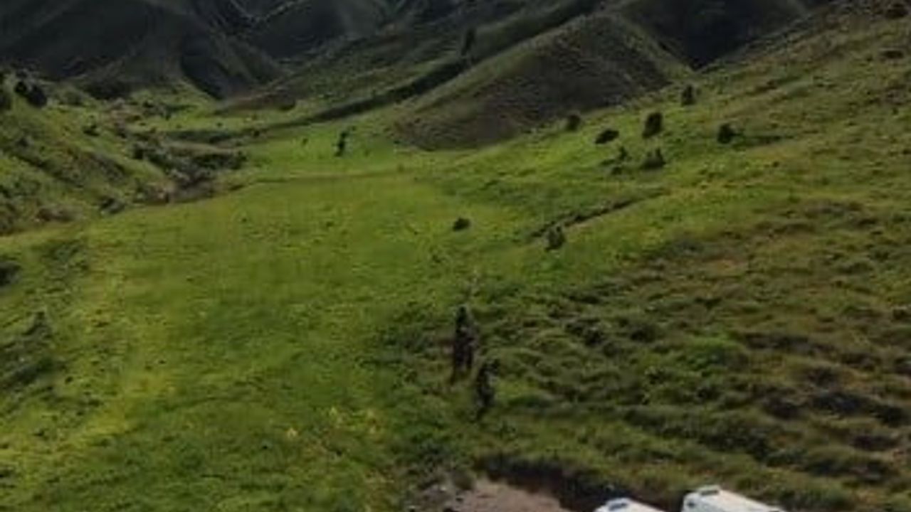Tunceli'de mantar toplayan 3 kişi ayı saldırısında yaralandı