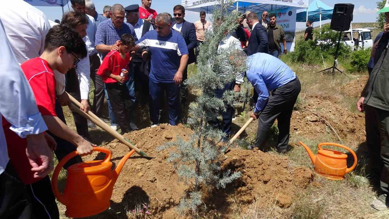 Türkiye Güreş Federasyonu Hatıra Ormanı Malatya'da açıldı