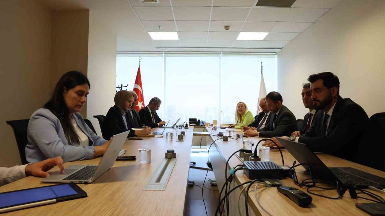 Türkiye ve Özbekistan arasında sosyal risk haritası toplantısı