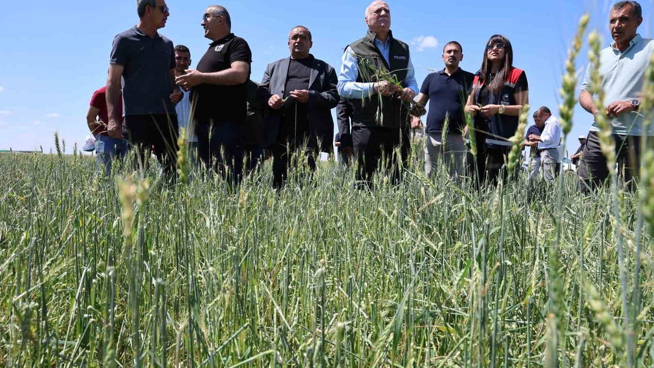 TZOB Başkanı Bayraktar: Son 150 yılın en önemli yağışlarını aldık — Aksaray'da dolu hasarı ve TARSİM'siz üreticilere yardım talebi