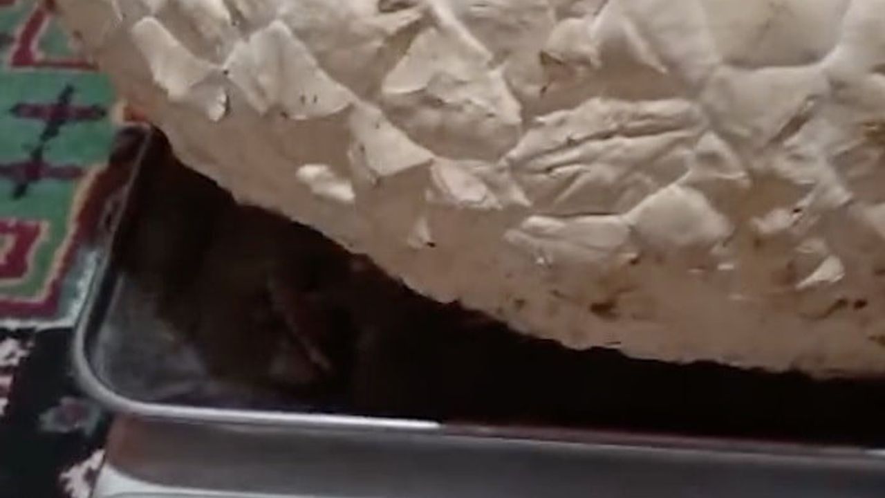 Uğurludağ'da vatandaşın bulduğu 5 kilo 102 gram mantar şaşırttı