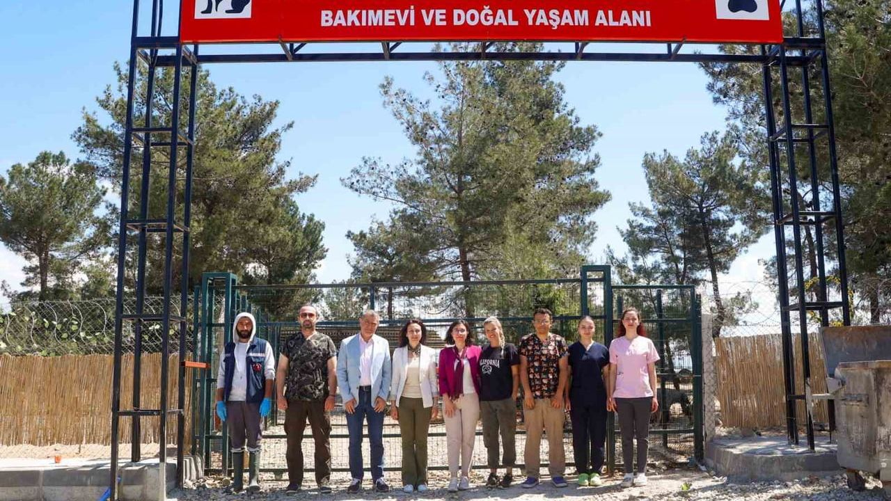 Uşak Belediye Başkan Vekili Hatice Terekeci Özkan, Sahipsiz Hayvanlar Bakımevini İnceledi