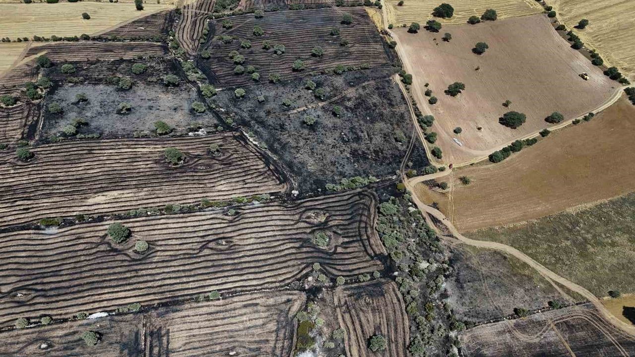 Uşak'ta çıkan yangında yaklaşık 600 dekar ekili alan zarar gördü