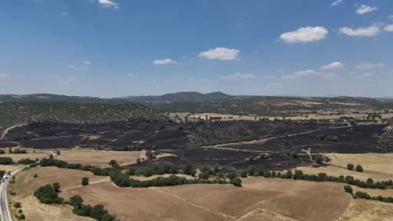 Uşak'ta rüzgarla yayılan yangın yaklaşık 300 dekar tarım alanına zarar verdi