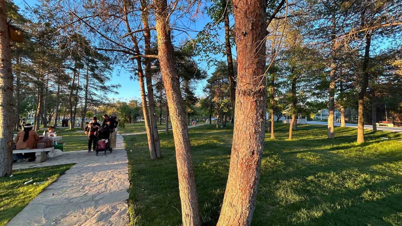 Uzmanlardan kene uyarısı: Bilinçsiz müdahale riski artırıyor