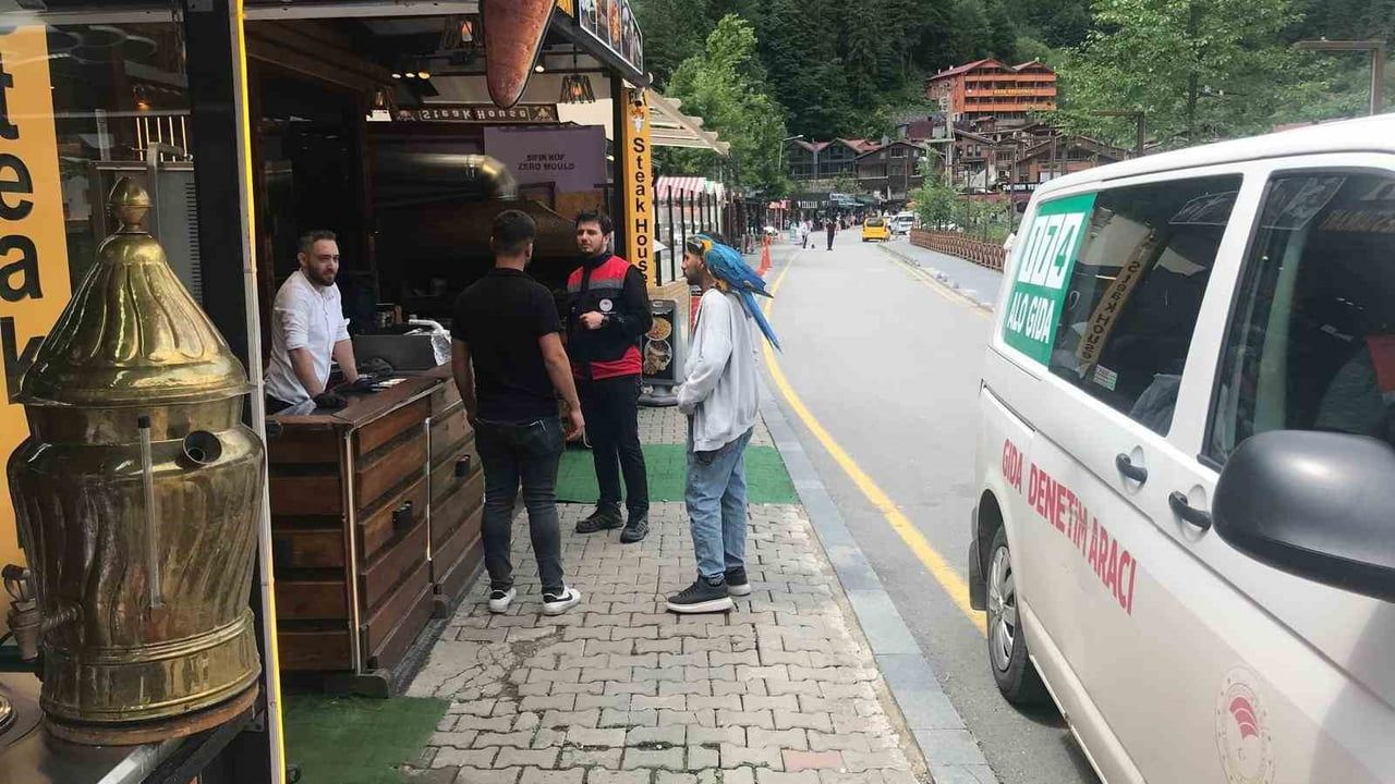 Uzungöl'de 2026 turizm sezonu öncesi gıda ve hijyen denetimleri sıklaştırıldı