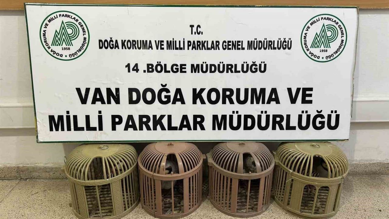 Van Çatak'ta 4 kınalı keklik ele geçirildi; toplam 51 bin 878 TL ceza uygulandı
