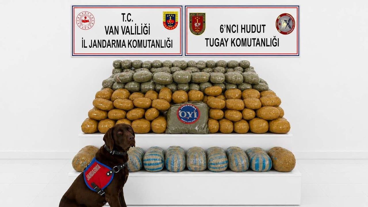 Van'da 291 kilogram toz esrar ele geçirildi