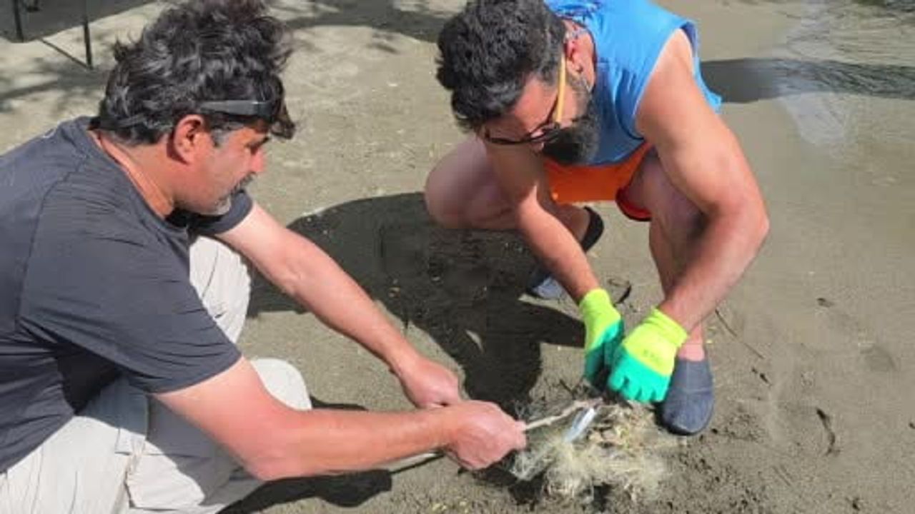 Van'da çaya bırakılan misinalar yengeçleri tehlikeye soktu: duyarlı vatandaşlar kurtardı